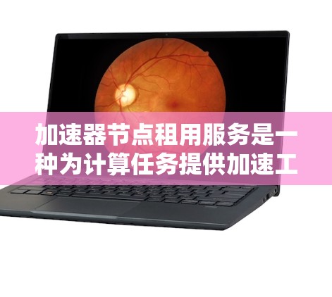 加速器节点租用服务是一种为计算任务提供加速工具的解决方案。以下是详细的解释