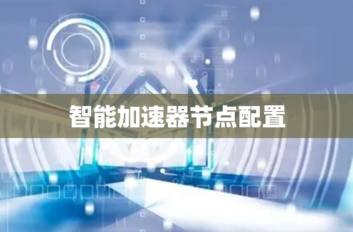 智能加速器节点配置 智能加速器节点配置