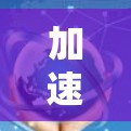加速器在不同国家有不同的名称和用途，特别是在国外网络连接中，您可能在使用国内流量加速器，但在国外遇到了网络不稳定、安全问题或数据丢失的情况。以下是一些可能适合您的加速器推荐