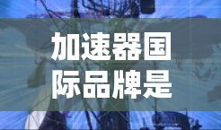 加速器国际品牌是一种全球化的加速器品牌，广泛应用于汽车、航空、eron飞机、太空和医疗等多个领域。以下是对该品牌及其应用的详细分析