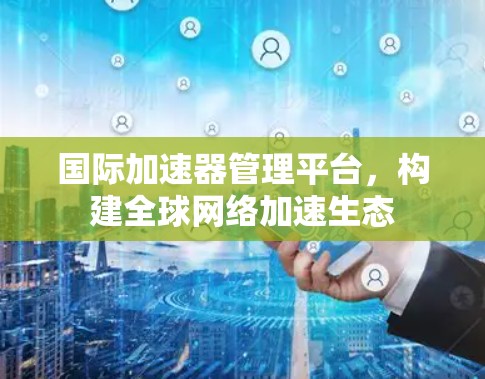 国际加速器管理平台，构建全球网络加速生态