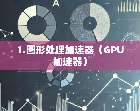 1.图形处理加速器(GPU加速器) 1.图形处理加速器(GPU加速器)