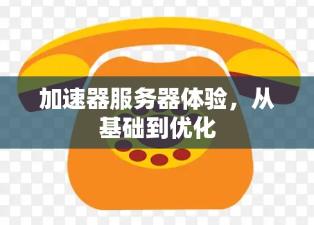 加速器服务器体验，从基础到优化