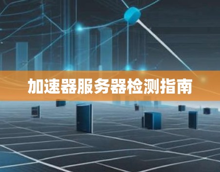 加速器服务器检测指南