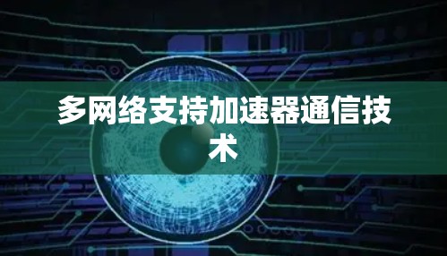 多网络支持加速器通信技术