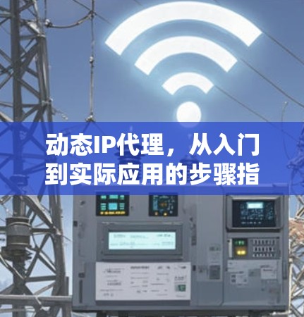 动态IP代理,从入门到实际应用的步骤指南 动态IP代理,从入门到实际应用的步骤指南