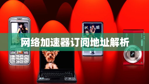 网络加速器订阅地址解析 网络加速器订阅地址解析