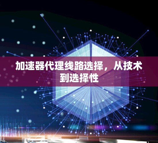 加速器代理线路选择,从技术到选择性 加速器代理线路选择,从技术到选择性