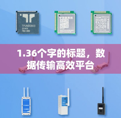 1.36个字的标题,数据传输高效平台 1.36个字的标题,数据传输高效平台