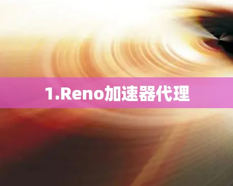 1.Reno加速器代理 1.Reno加速器代理