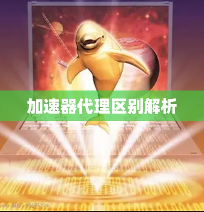 加速器代理区别解析