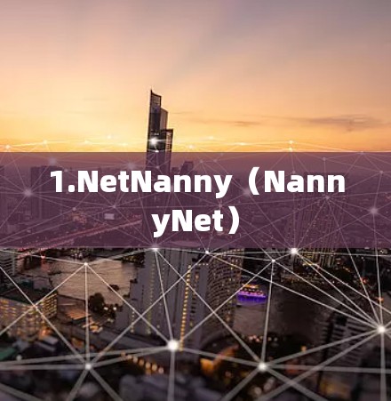 1.NetNanny(NannyNet) 1.NetNanny(NannyNet)