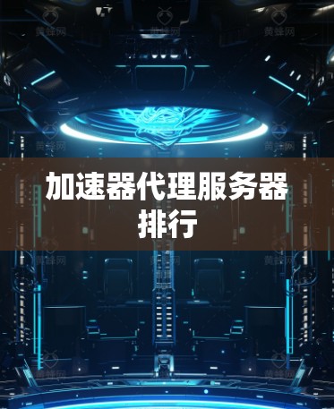 加速器代理服务器排行 加速器代理服务器排行
