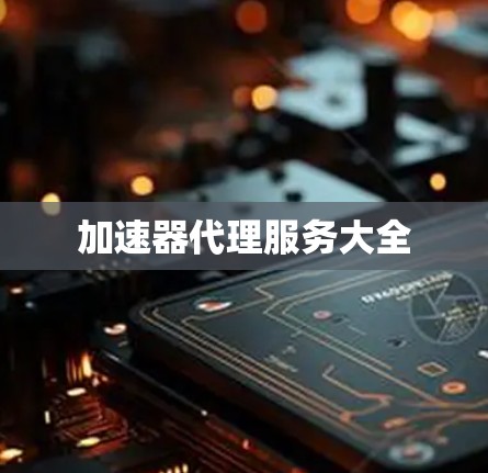 加速器代理服务大全 加速器代理服务大全