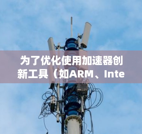 为了优化使用加速器创新工具（如ARM、Intel、ARM6 compiler和ARM Compose等）访问的加速器，可以按照以下步骤进行
