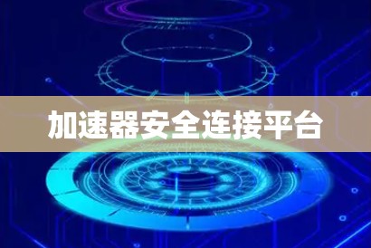 加速器安全连接平台