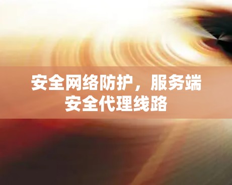 安全网络防护，服务端安全代理线路