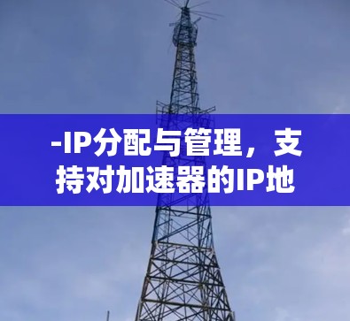 -IP分配与管理，支持对加速器的IP地址进行高效分配和管理，确保资源的高效利用