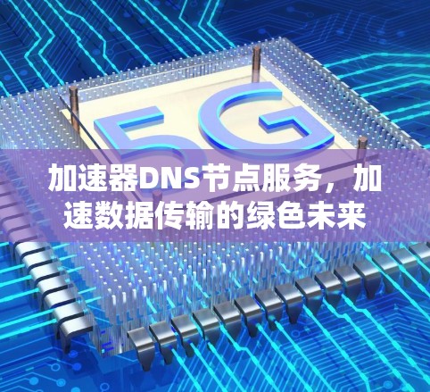加速器DNS节点服务,加速数据传输的绿色未来 加速器DNS节点服务,加速数据传输的绿色未来