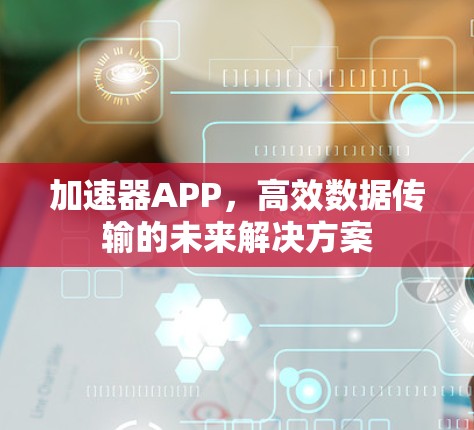加速器APP，高效数据传输的未来解决方案
