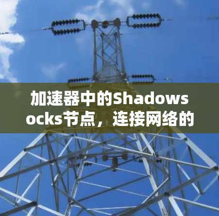 加速器中的Shadowsocks节点，连接网络的可靠桥梁