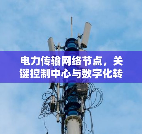 电力传输网络节点，关键控制中心与数字化转型的中枢