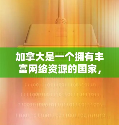 加拿大是一个拥有丰富网络资源的国家，但VPN服务仍然受到严格监管，以确保访问的安全性和隐私。以下是一些加拿大可能提供VPN服务的地区和平台