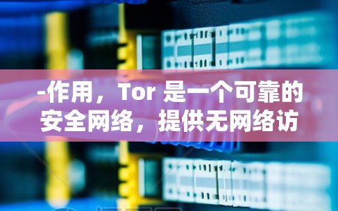 -作用，Tor 是一个可靠的安全网络，提供无网络访问，保护用户免受网站攻击