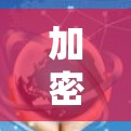 加密连接客户端协议，安全可靠的通信接口