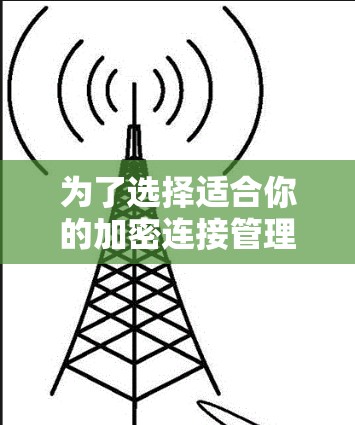 为了选择适合你的加密连接管理软件，以下是一个有条理的建议