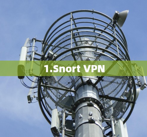 1.Snort VPN 1.Snort VPN