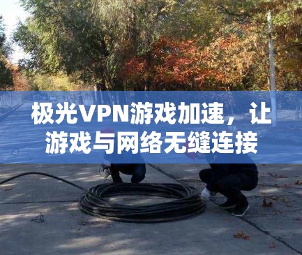 极光VPN游戏加速,让游戏与网络无缝连接 极光VPN游戏加速,让游戏与网络无缝连接