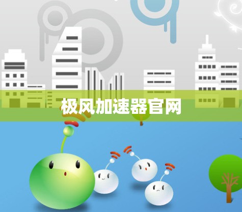 极风加速器官网