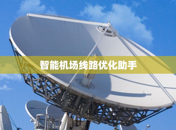 智能机场线路优化助手