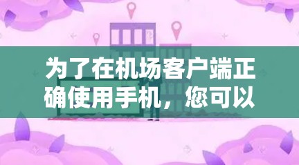 为了在机场客户端正确使用手机，您可以按照以下步骤操作