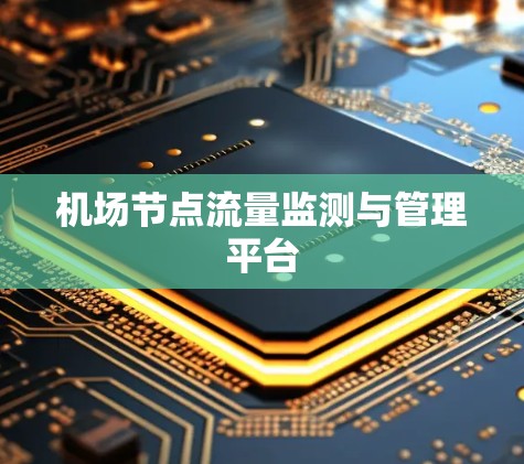 机场节点流量监测与管理平台