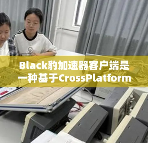 Black豹加速器客户端是一种基于CrossPlatform的工具，专为加速下载文件而设计，支持多种格式和平台。以下是对其进行全面的总结和建议