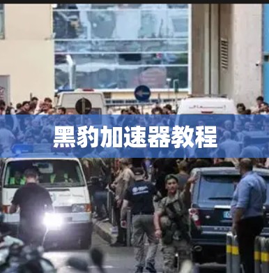黑豹加速器教程 黑豹加速器教程