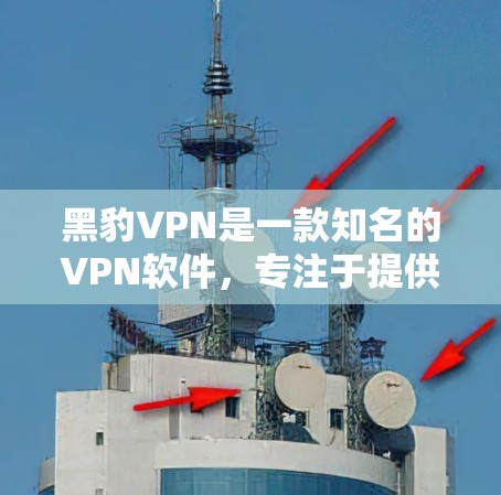 黑豹VPN是一款知名的VPN软件，专注于提供安全、高效的VPN体验。如果你正在寻找最新的黑豹VPN客户端下载，以下是一些相关信息和下载链接，帮助你获取所需软件