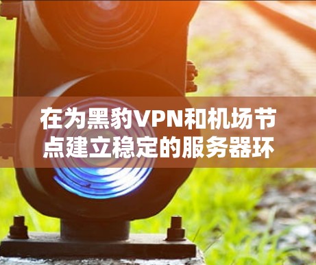在为黑豹VPN和机场节点建立稳定的服务器环境时，可以按照以下步骤进行