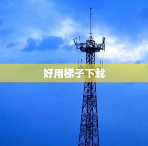 好用梯子下载 好用梯子下载