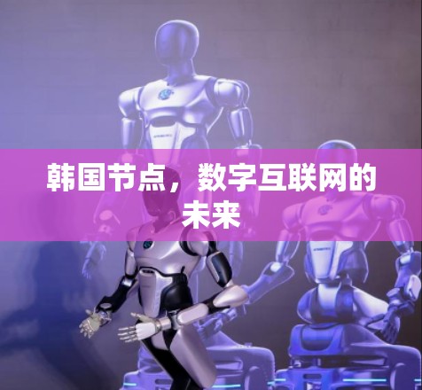 韩国节点，数字互联网的未来