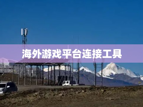 海外游戏平台连接工具