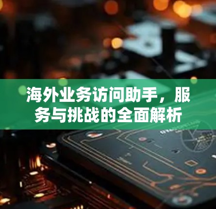 海外业务访问助手,服务与挑战的全面解析 海外业务访问助手,服务与挑战的全面解析