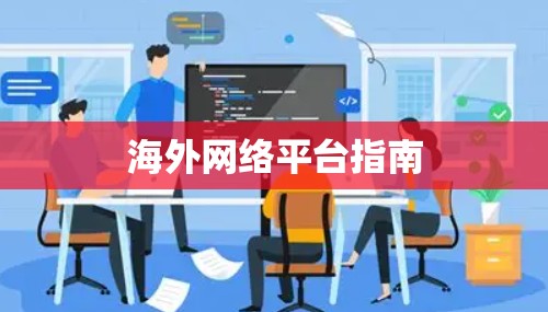 海外网络平台指南