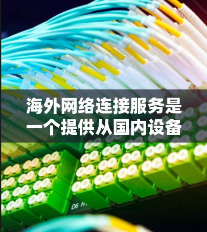 海外网络连接服务是一个提供从国内设备或本地连接到国外服务器的网络服务的平台，旨在满足用户需要在海外使用本地设备进行网络连接的需求。以下是对该服务的详细分析和总结