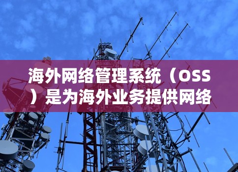 海外网络管理系统（OSS）是为海外业务提供网络服务的系统，旨在保障企业数据的安全和业务的全球化。以下是对海外网络管理系统（OSS）的详细总结和分析