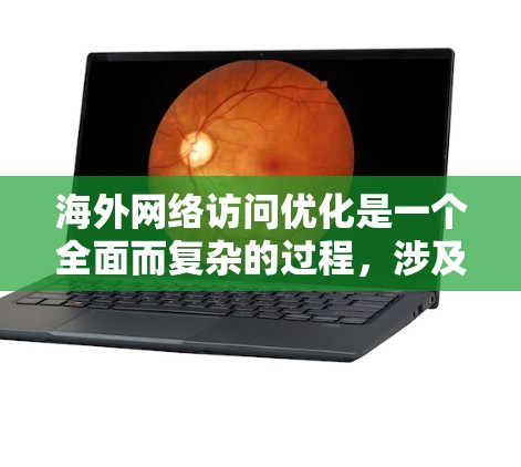 海外网络访问优化是一个全面而复杂的过程，涉及多个方面以确保用户在访问国际平台时的稳定性和安全性。以下是对这个过程的详细总结和实施策略