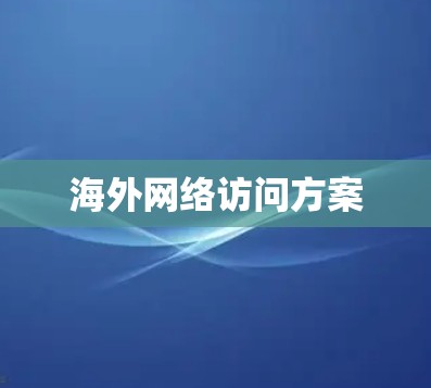 海外网络访问方案 海外网络访问方案