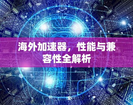 海外加速器，性能与兼容性全解析